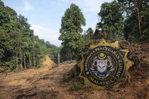 ChatGPT Image Jan 26, 2026, 08_47_17 PM.jpg